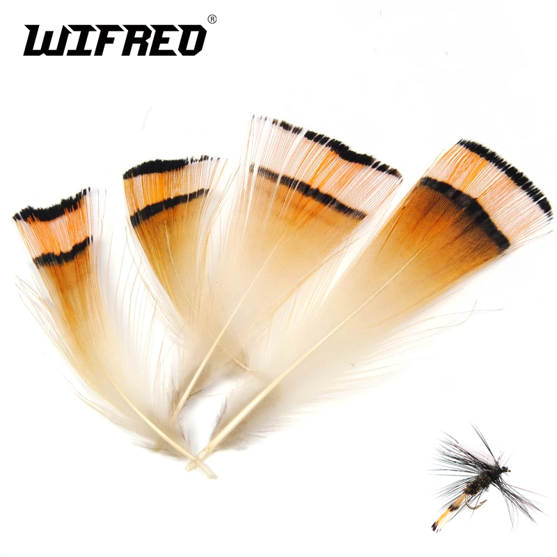 50PCS Natural Color Golden Phe - Fishing Equipment Brands review and price